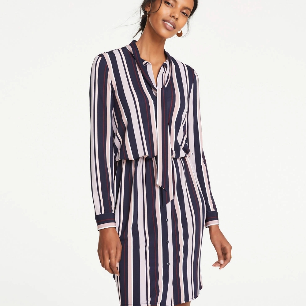 Stripe Shirtdress